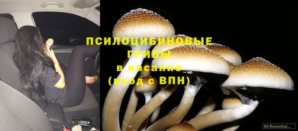 дживик Алексин