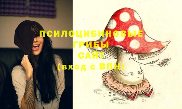не бодяженный Алзамай