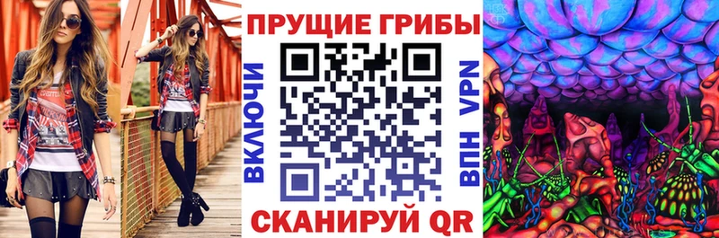 Галлюциногенные грибы MAGIC MUSHROOMS  хочу наркоту  Хилок 