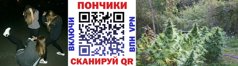 hydra как зайти  Хилок  МАРИХУАНА SATIVA & INDICA 